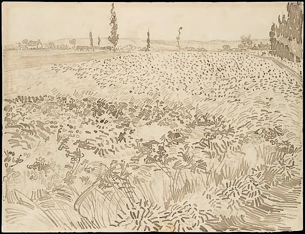Wheat Field by Vincent van Gogh, July 1888. Reed pen and logwood ink over graphite on wove paper. Image from The Metropolitan Museum of Art.