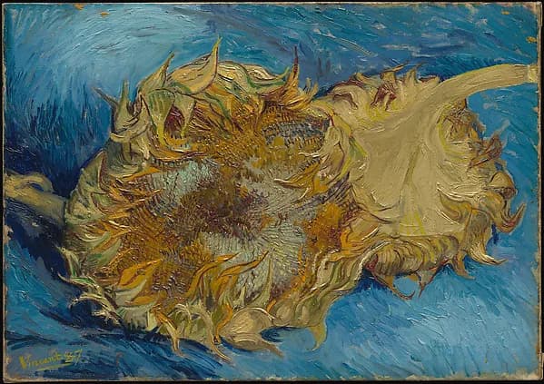 Sunflowers by Vincent van Gogh, 1887. Oil on canvas. Image from The Metropolitan Museum of Art.
