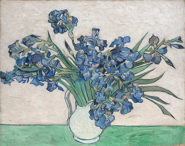 Irises by Vincent van Gogh, 1890. Oil on canvas. Image from The Metropolitan Museum of Art.
